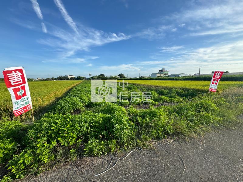 佳里番子寮農保農地房屋室內格局與周邊環境