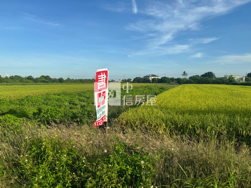 佳里番子寮農保農地房屋室內格局與周邊環境