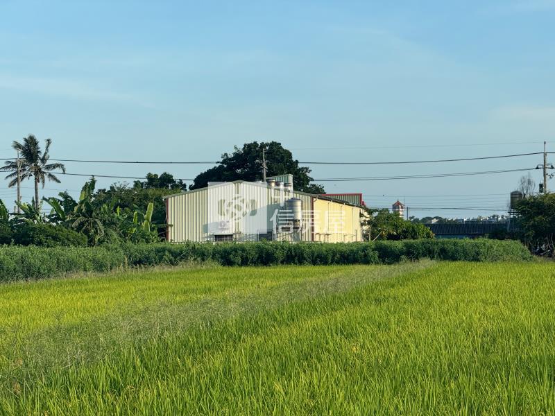 佳里番子寮農保農地房屋室內格局與周邊環境