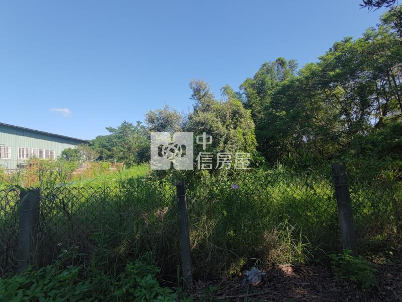 【安家】專任-大溪桃禧露營園區旁農地房屋室內格局與周邊環境