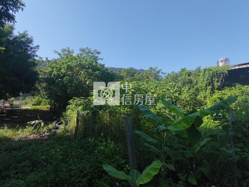 【安家】專任-大溪桃禧露營園區旁農地房屋室內格局與周邊環境
