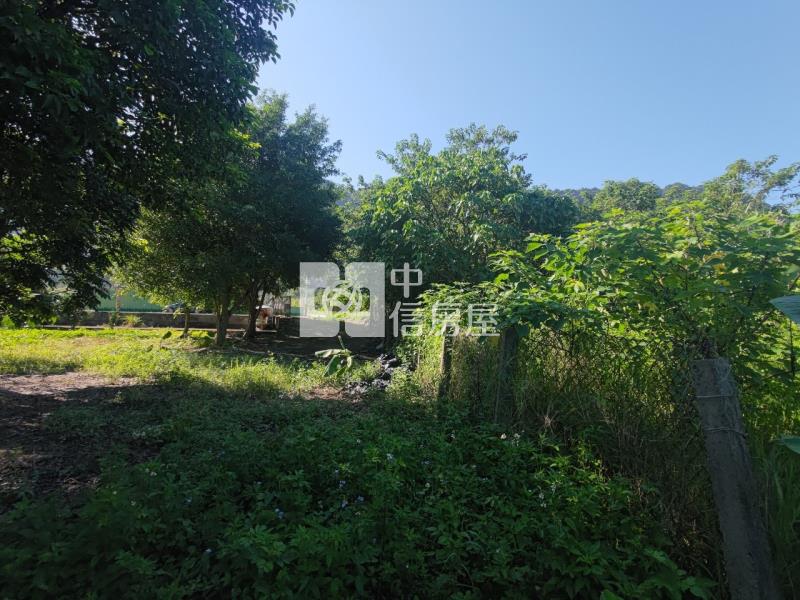 【安家】專任-大溪桃禧露營園區旁農地房屋室內格局與周邊環境