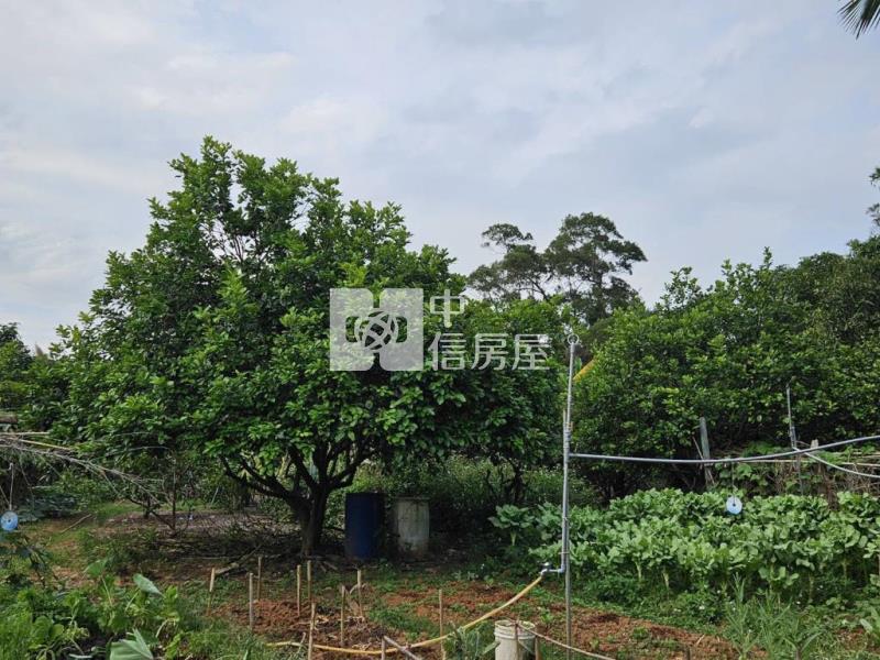 過嶺休閒農地附資材室房屋室內格局與周邊環境