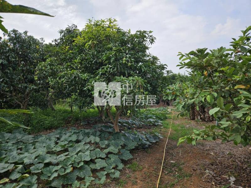 過嶺休閒農地附資材室房屋室內格局與周邊環境