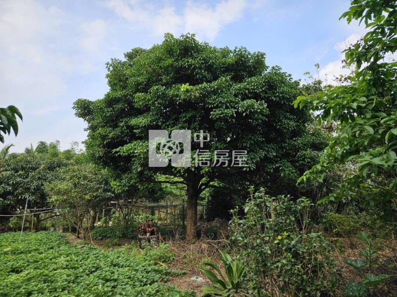 過嶺休閒農地附資材室房屋室內格局與周邊環境
