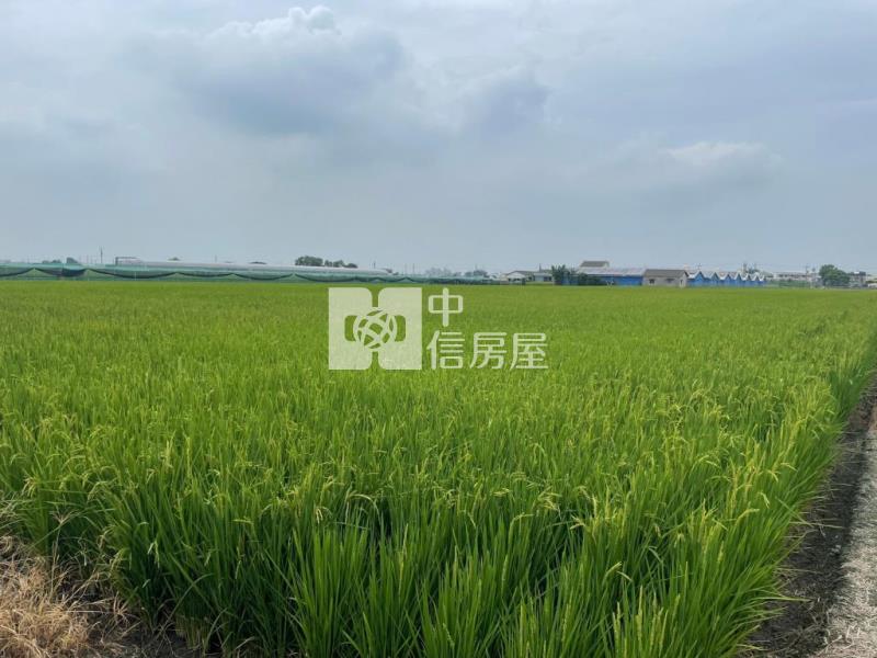 雲林農地房屋室內格局與周邊環境