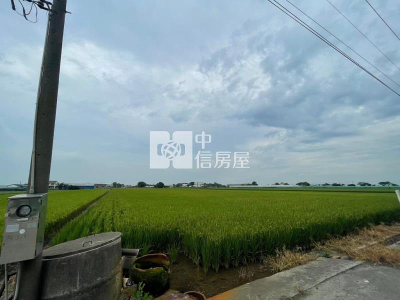 雲林農地房屋室內格局與周邊環境