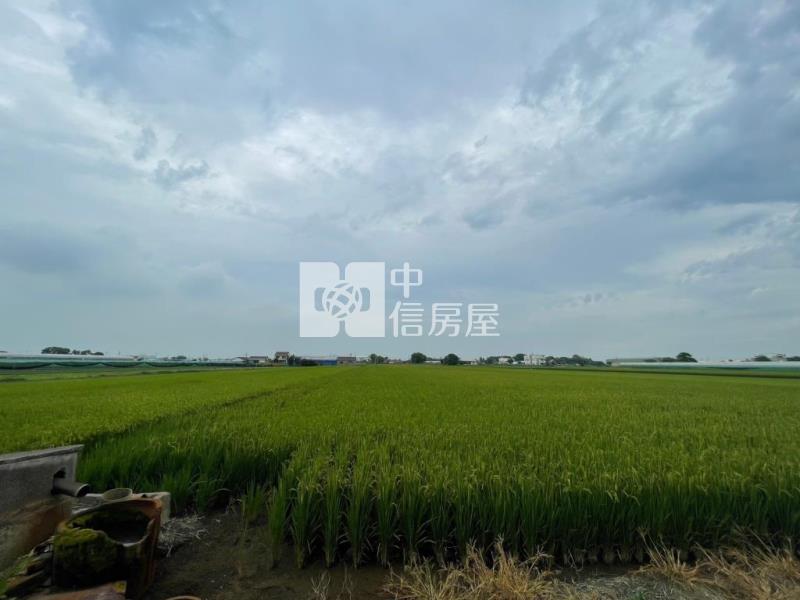 雲林農地房屋室內格局與周邊環境