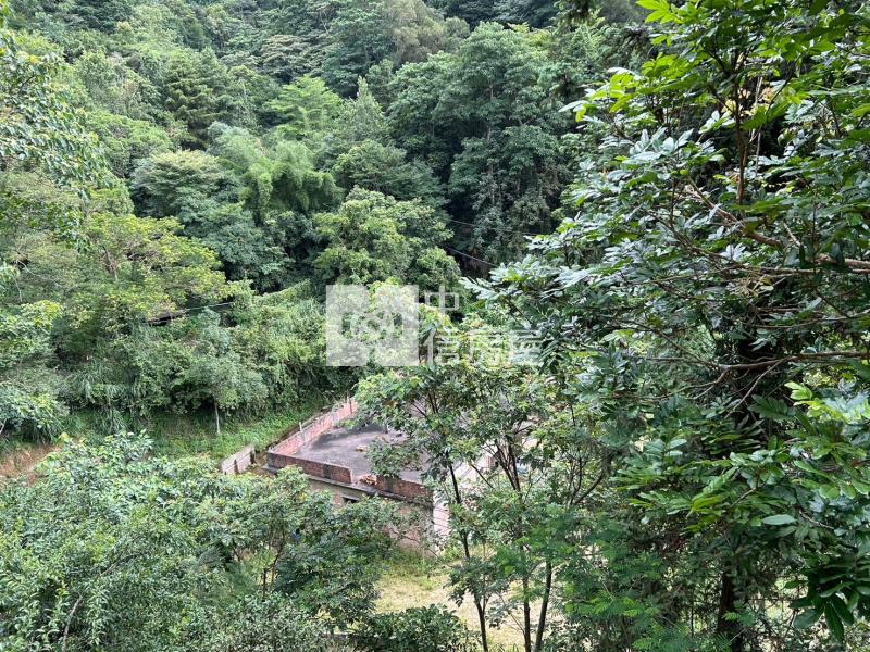 南庄民宿咖啡園房屋室內格局與周邊環境