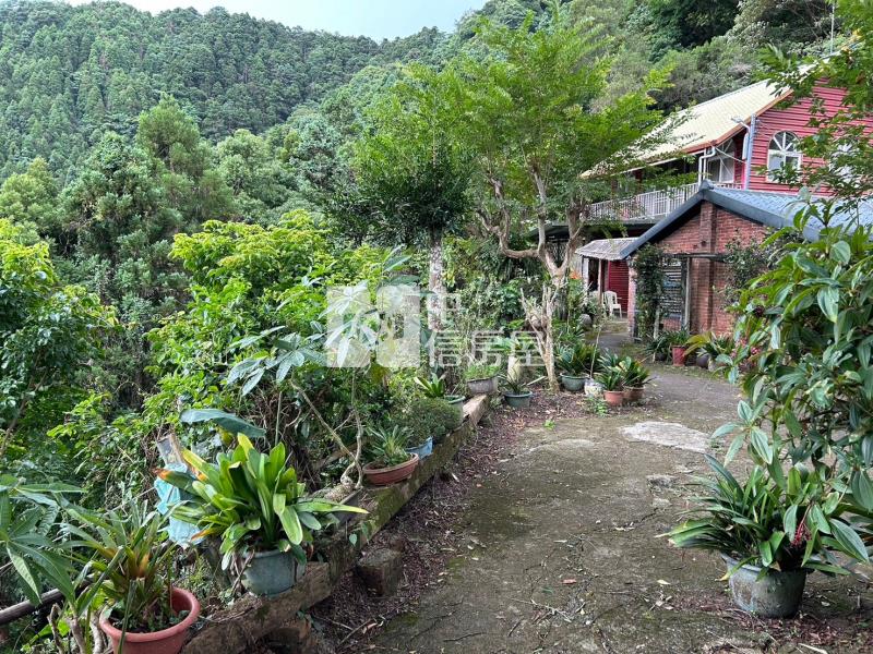 南庄民宿咖啡園房屋室內格局與周邊環境
