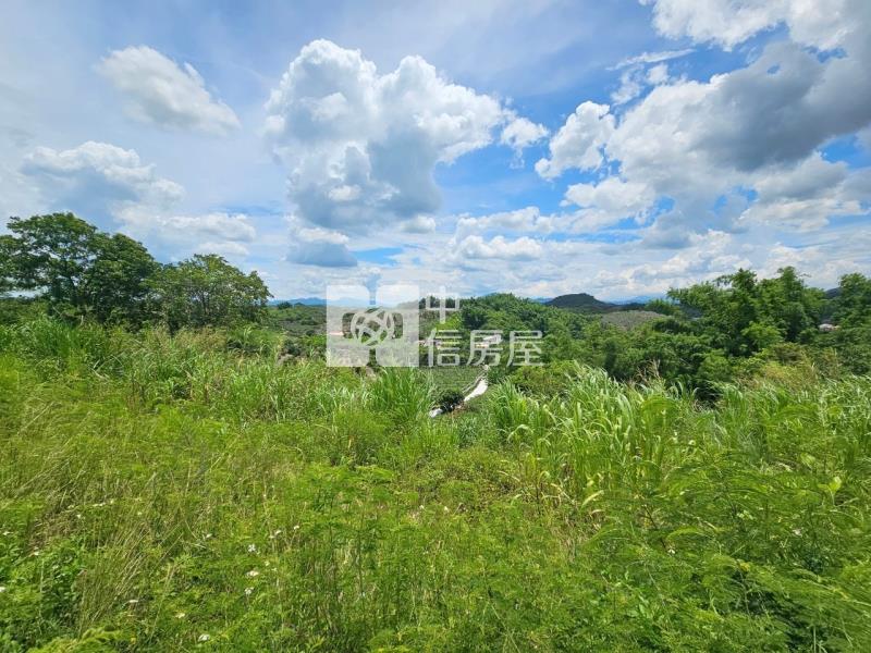 南化市區旁優美山坡地房屋室內格局與周邊環境