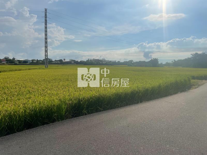 青埔都市計畫內小坪數開心農場房屋室內格局與周邊環境