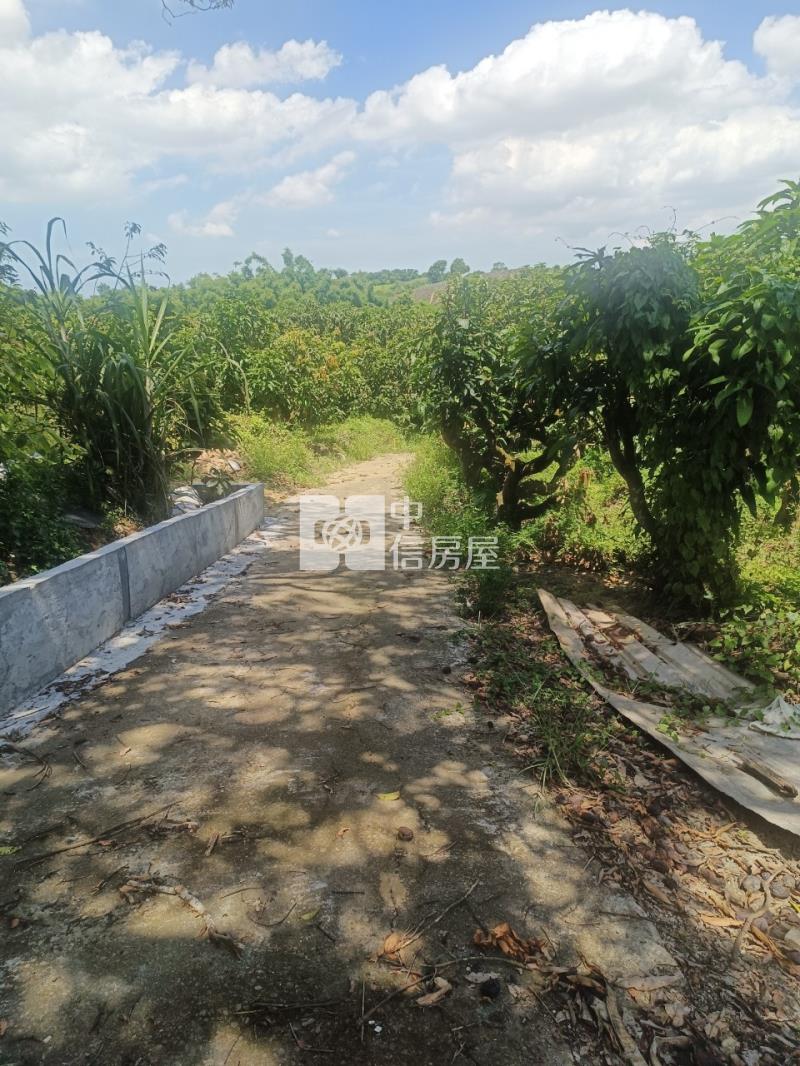 關廟超值農地房屋室內格局與周邊環境