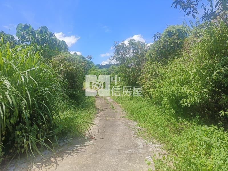 關廟超值農地房屋室內格局與周邊環境