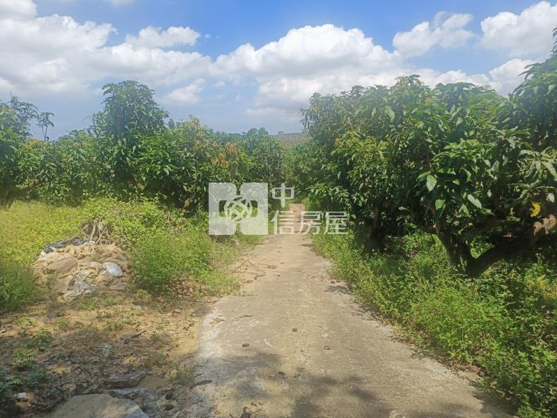 關廟超值農地房屋室內格局與周邊環境