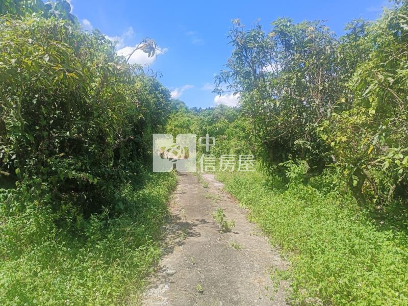 關廟超值農地房屋室內格局與周邊環境