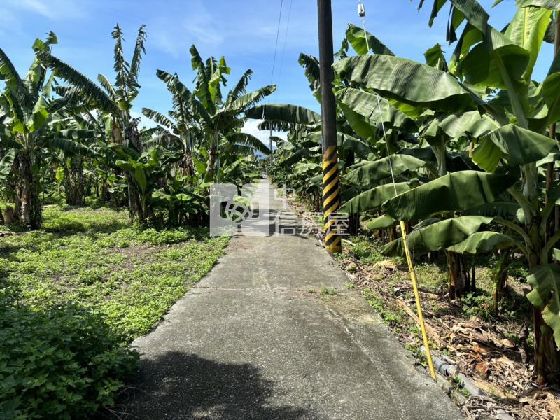 斗六梅林農地房屋室內格局與周邊環境
