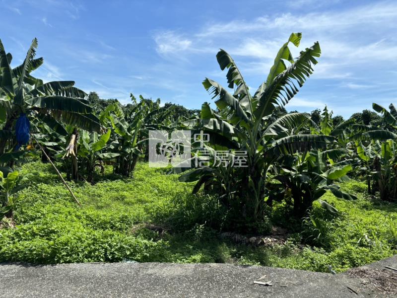 斗六梅林農地房屋室內格局與周邊環境