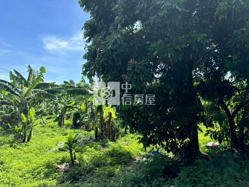 斗六梅林農地房屋室內格局與周邊環境
