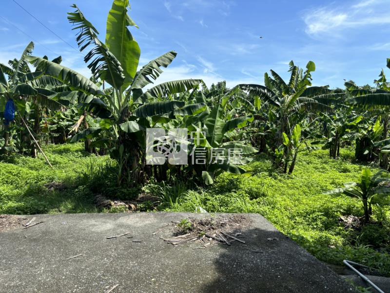 斗六梅林農地房屋室內格局與周邊環境
