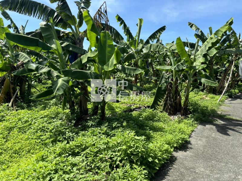 斗六梅林農地房屋室內格局與周邊環境