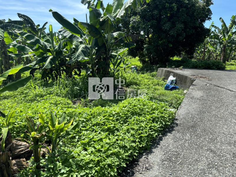 斗六梅林農地房屋室內格局與周邊環境