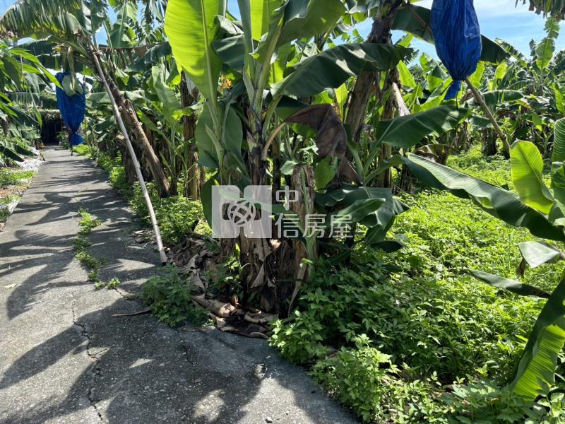 斗六梅林農地房屋室內格局與周邊環境