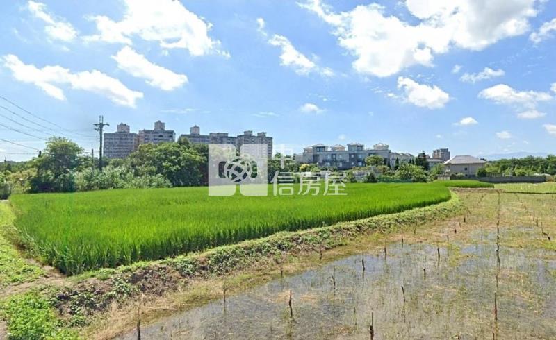 復旦高中都內田146坪房屋室內格局與周邊環境