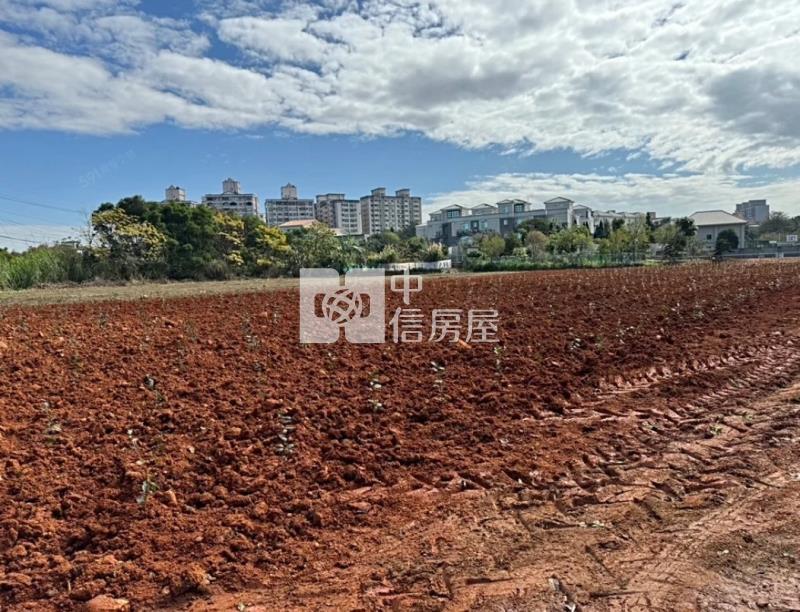復旦高中都內田146坪房屋室內格局與周邊環境