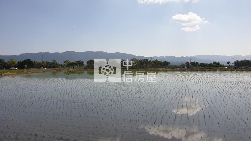 台九線正路邊農地房屋室內格局與周邊環境