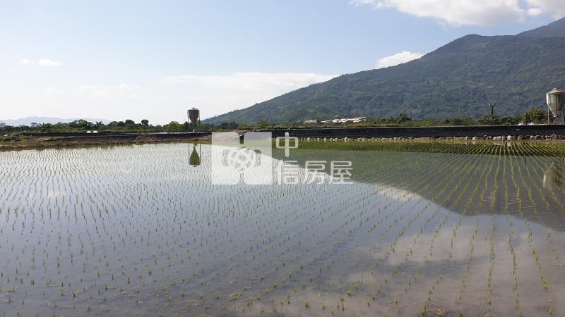 台九線正路邊農地房屋室內格局與周邊環境