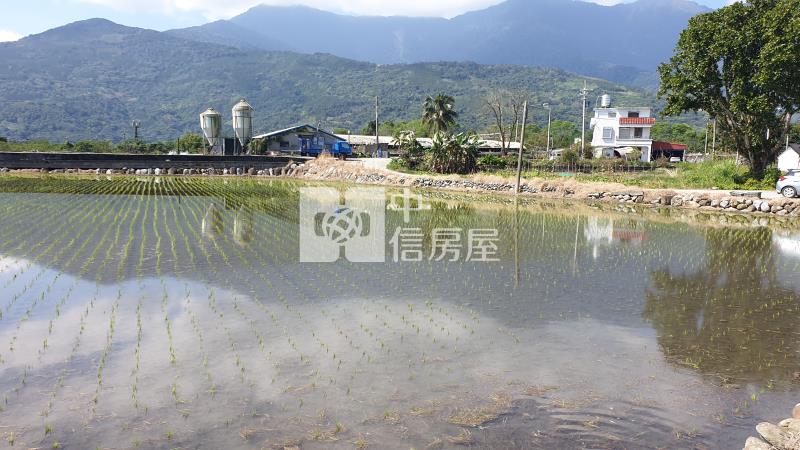 台九線正路邊農地房屋室內格局與周邊環境