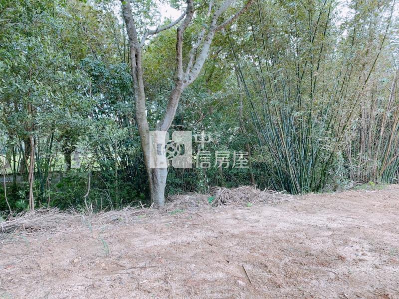 龍潭一般農房屋室內格局與周邊環境