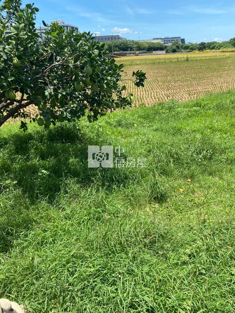 斗六雲科農舍+建地