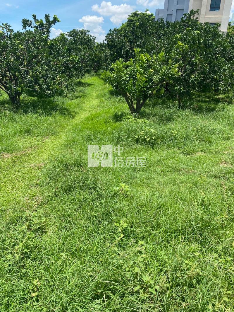 斗六雲科農舍+建地房屋室內格局與周邊環境