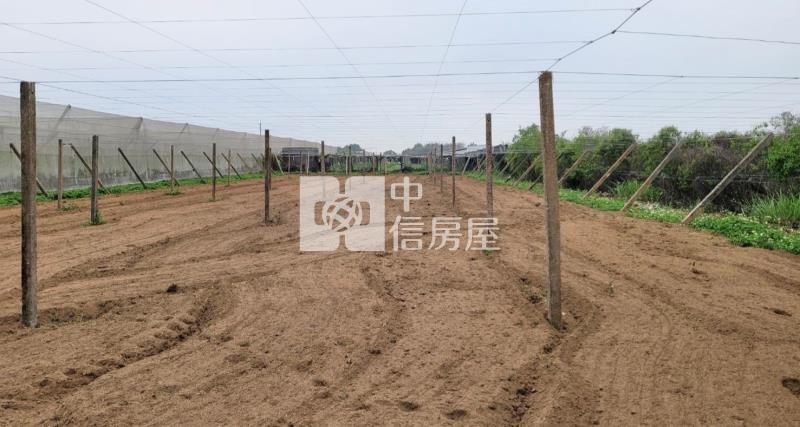 新社崑南街大地坪農地房屋室內格局與周邊環境