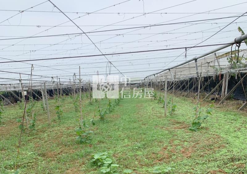 新社崑南街大地坪農地房屋室內格局與周邊環境
