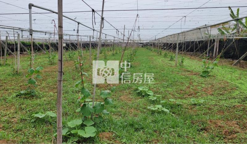 新社崑南街大地坪農地房屋室內格局與周邊環境
