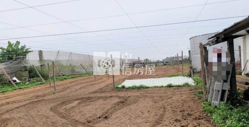 新社崑南街大地坪農地房屋室內格局與周邊環境