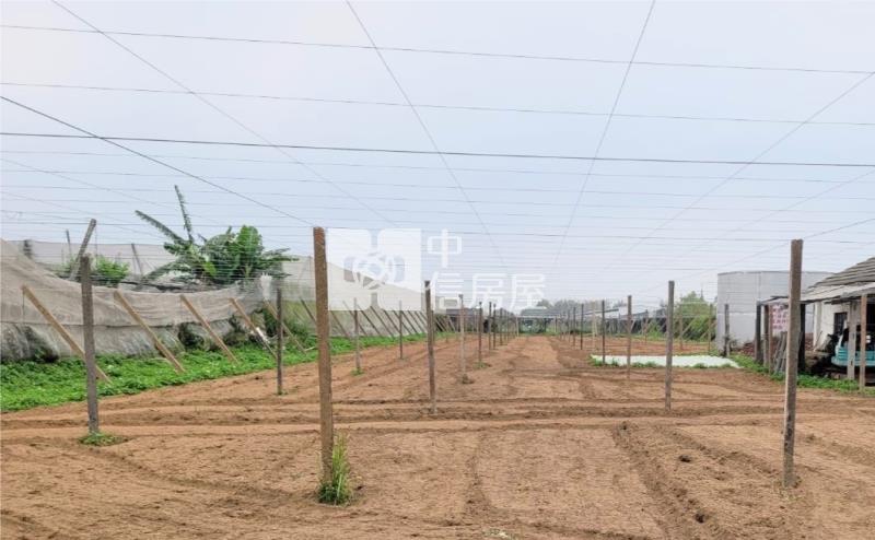 新社崑南街大地坪農地房屋室內格局與周邊環境