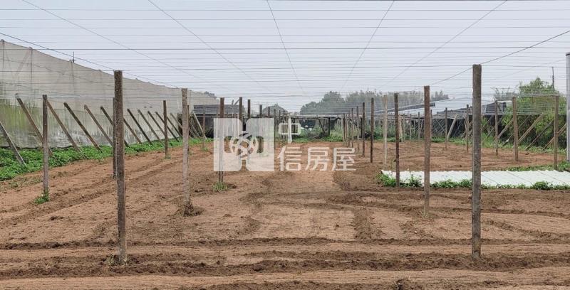 新社崑南街大地坪農地房屋室內格局與周邊環境