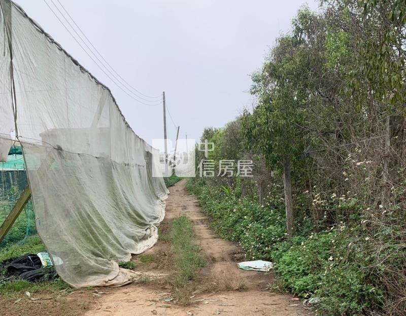 新社崑南街大地坪農地房屋室內格局與周邊環境