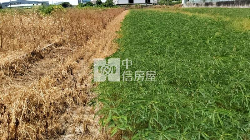 大寮後庄都計內農地房屋室內格局與周邊環境