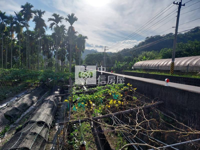 北港溪375田+建房屋室內格局與周邊環境