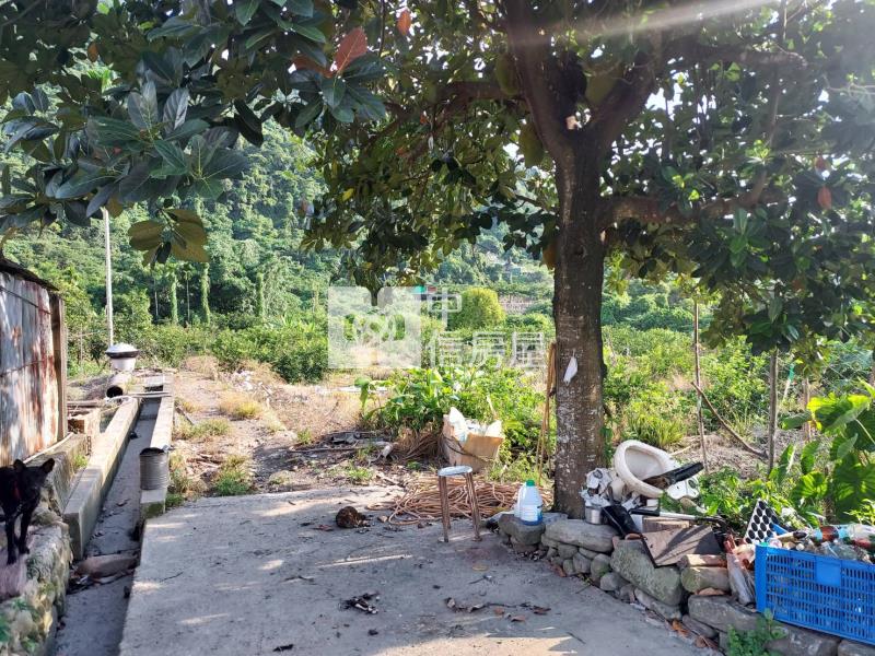 北港溪375田+建房屋室內格局與周邊環境