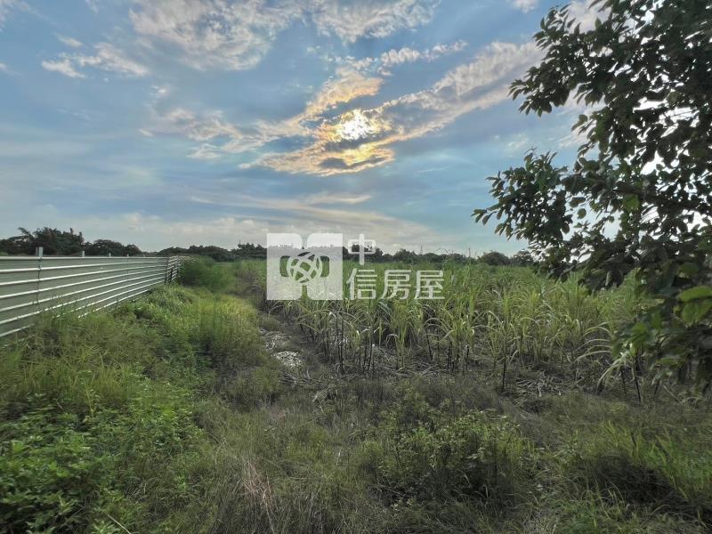 新化果菜市場旁475坪特農房屋室內格局與周邊環境