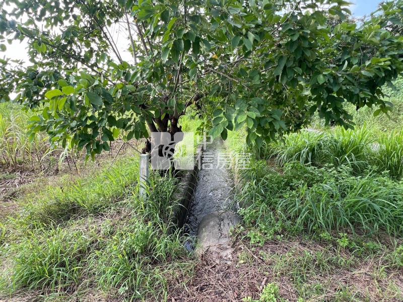 新化果菜市場旁475坪特農房屋室內格局與周邊環境
