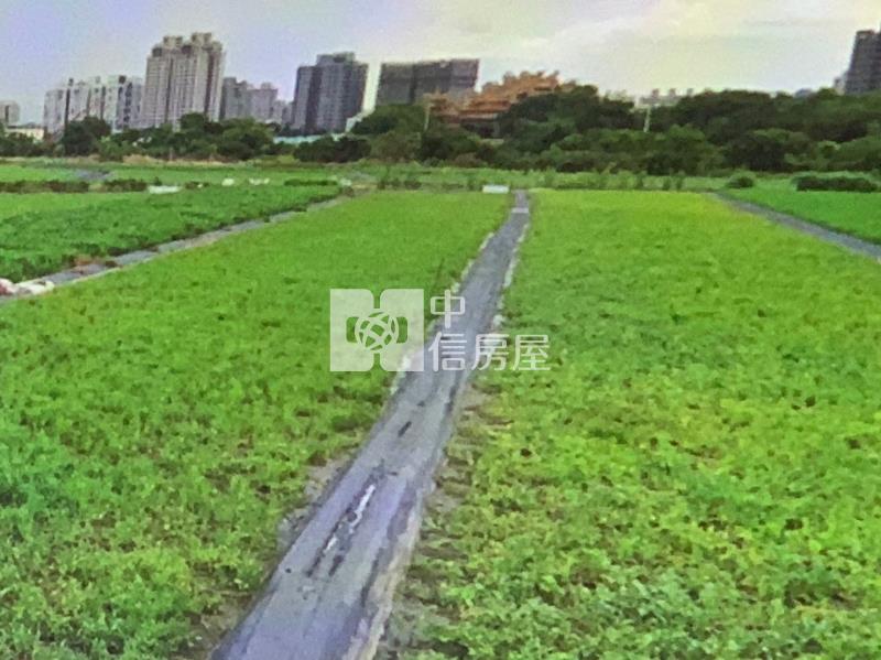 專任-大里區方正農地房屋室內格局與周邊環境