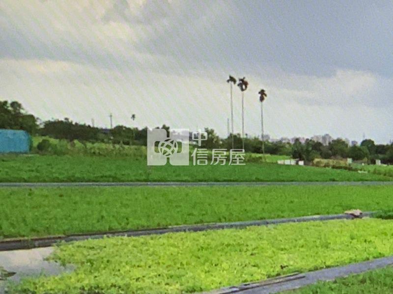 專任-大里區方正農地房屋室內格局與周邊環境
