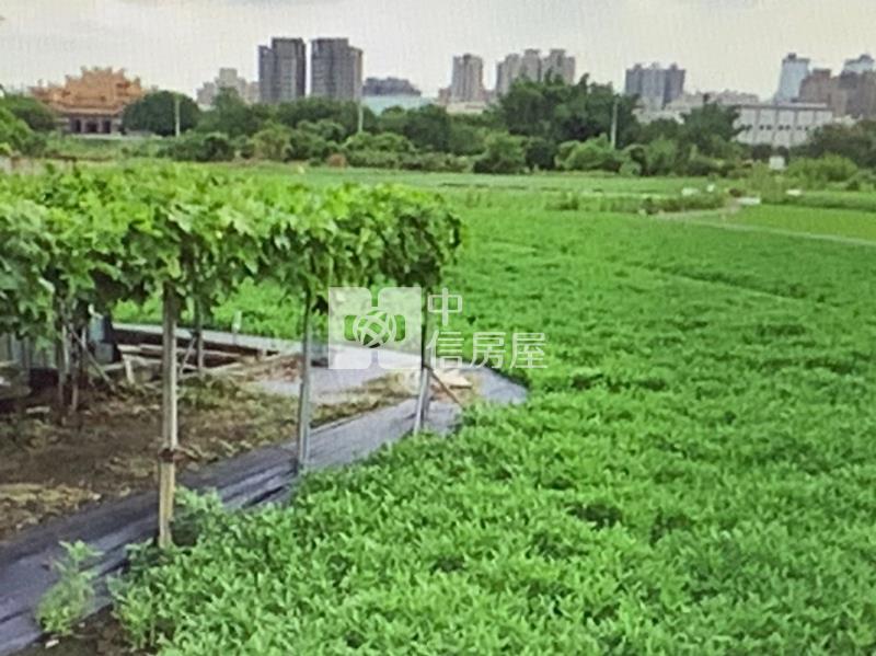 專任-大里區方正農地房屋室內格局與周邊環境